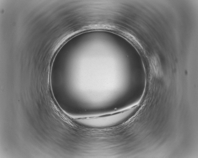 X0000059061228200510101040