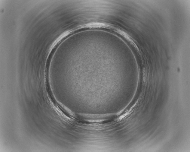 X0000059061229200510101040