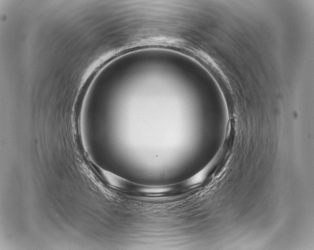 X0000059061230200510101040