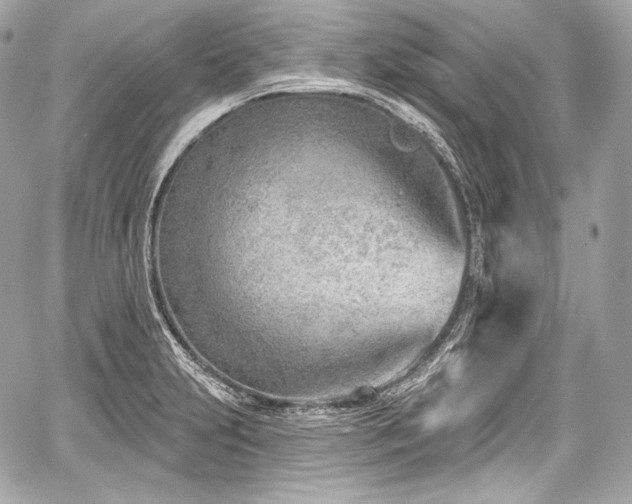 X0000059061231200510101040