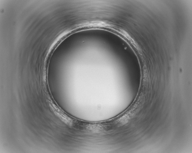 X0000059061232200510101040