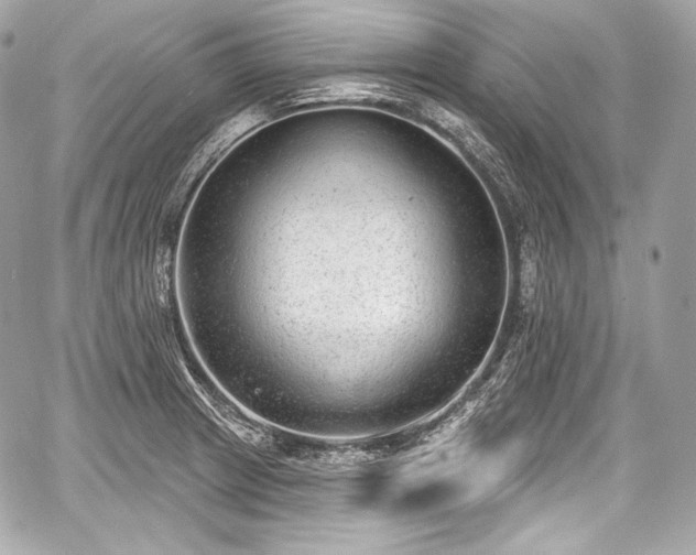 X0000059061233200510101040