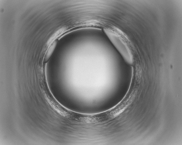 X0000059061234200510101040