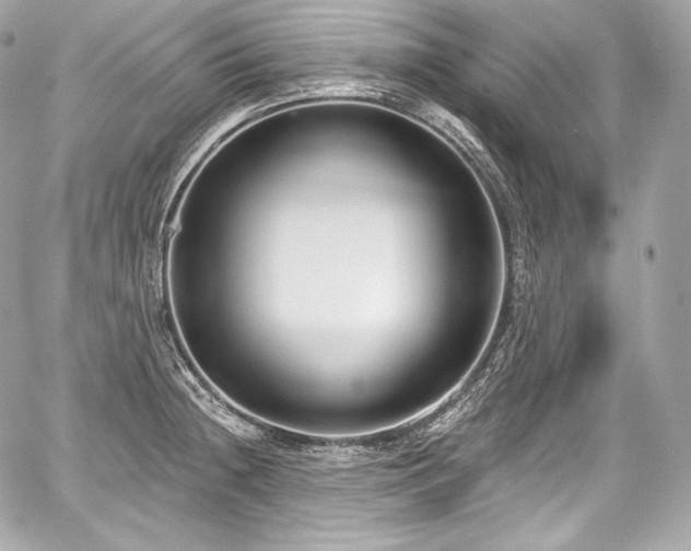 X0000059061236200510101040