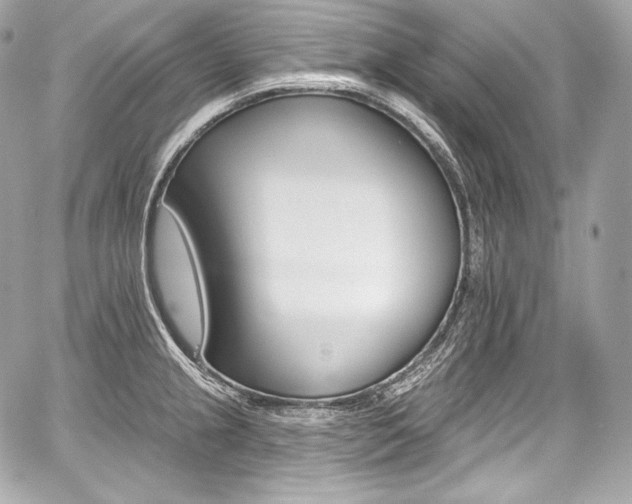 X0000059061237200510101040