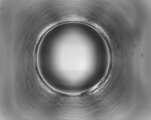 X0000059061238200510101040