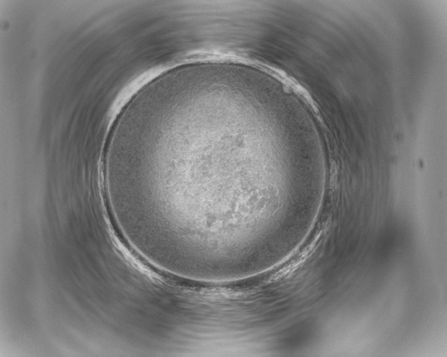 X0000059061239200510101040