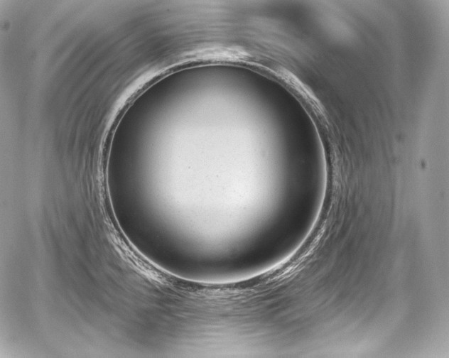 X0000059061240200510101040