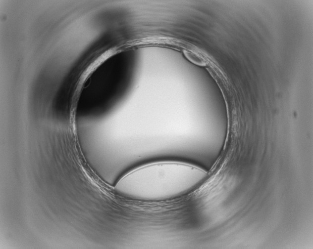 X0000059061241200510101040