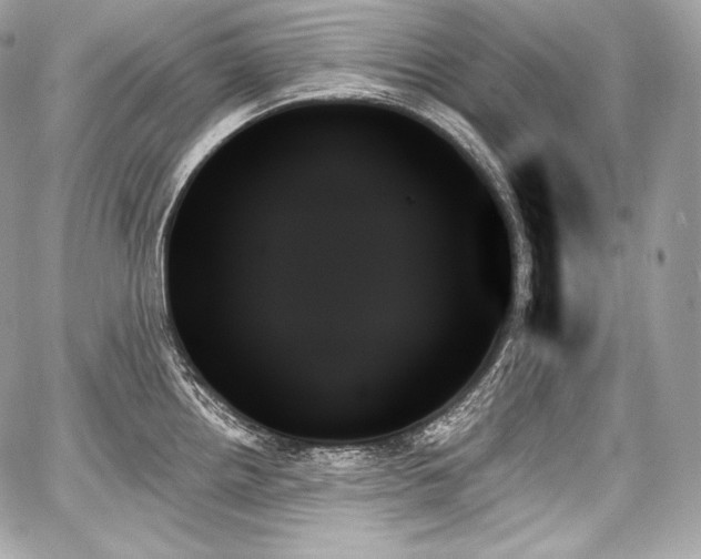 X0000059061242200510101040