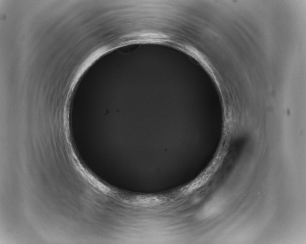 X0000059061243200510101040