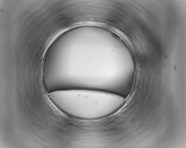 X0000059061244200510101040