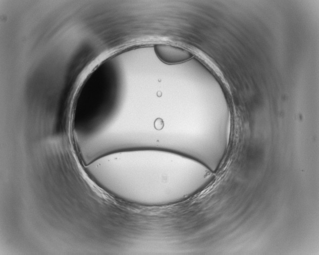 X0000059061245200510101040