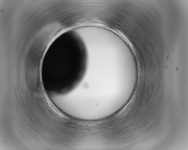 X0000059061246200510101040