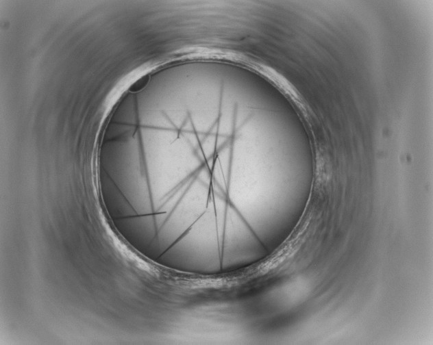 X0000059061247200510101040