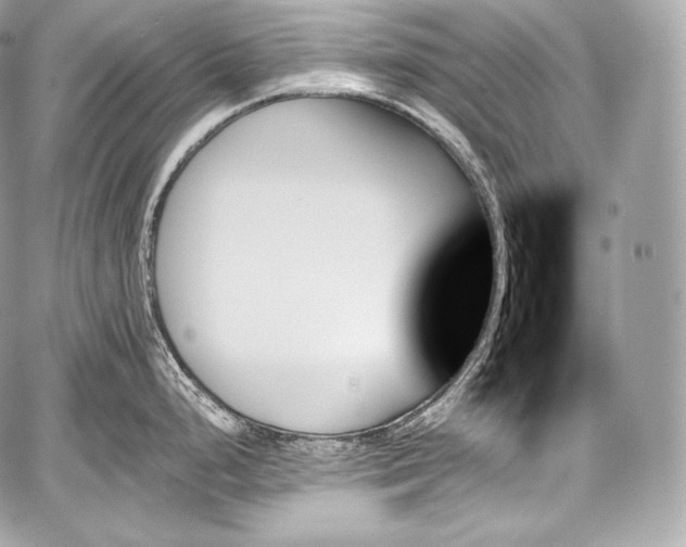 X0000059061248200510101040