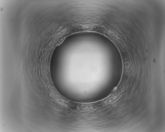 X0000059061249200510101039