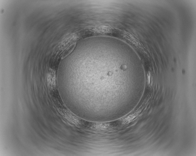 X0000059061251200510101039