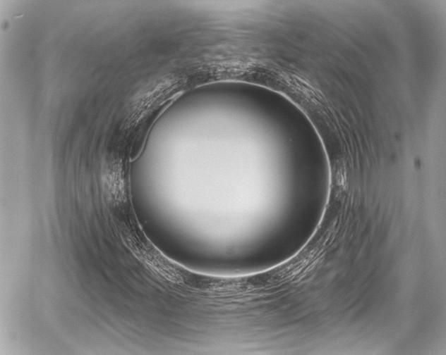 X0000059061252200510101039