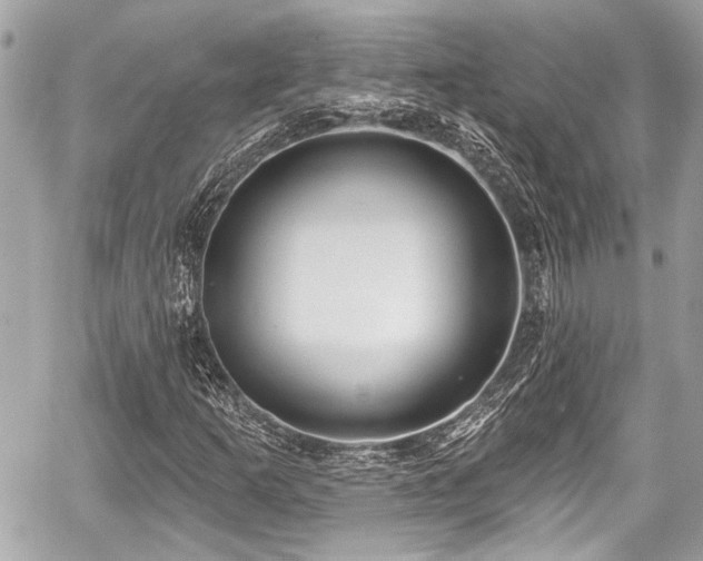 X0000059061253200510101039