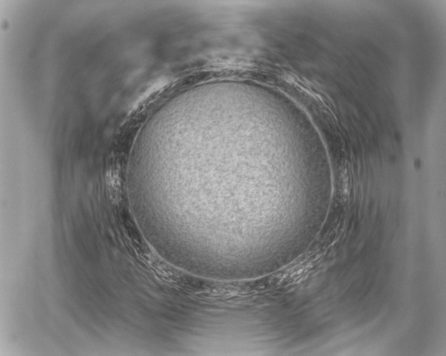 X0000059061254200510101039