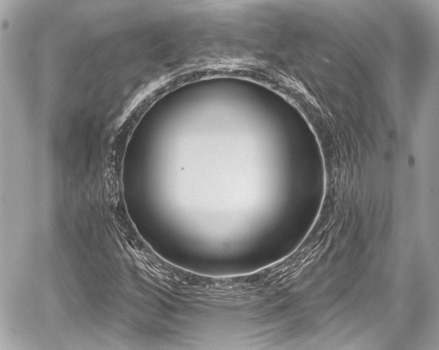 X0000059061256200510101039