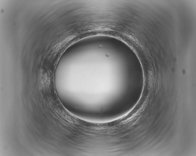 X0000059061257200510101039