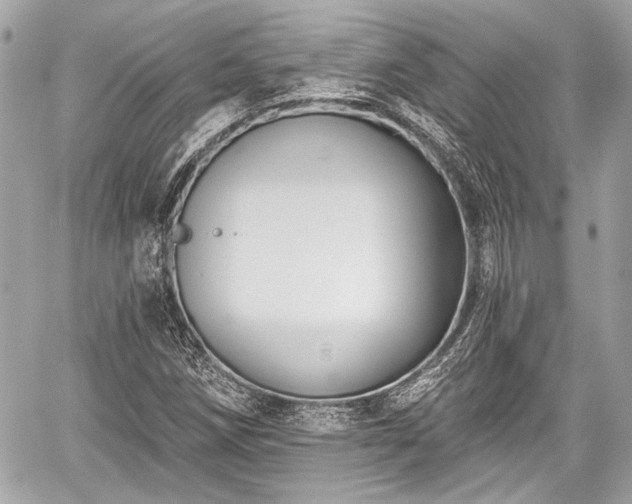 X0000059061258200510101039