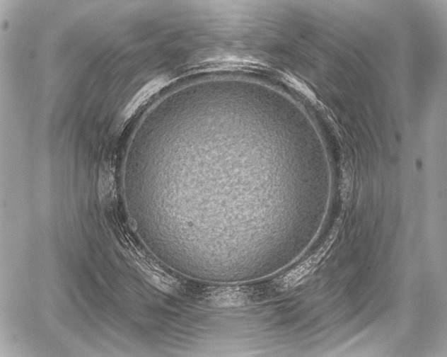 X0000059061259200510101039