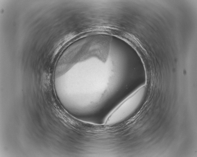 X0000059061260200510101039