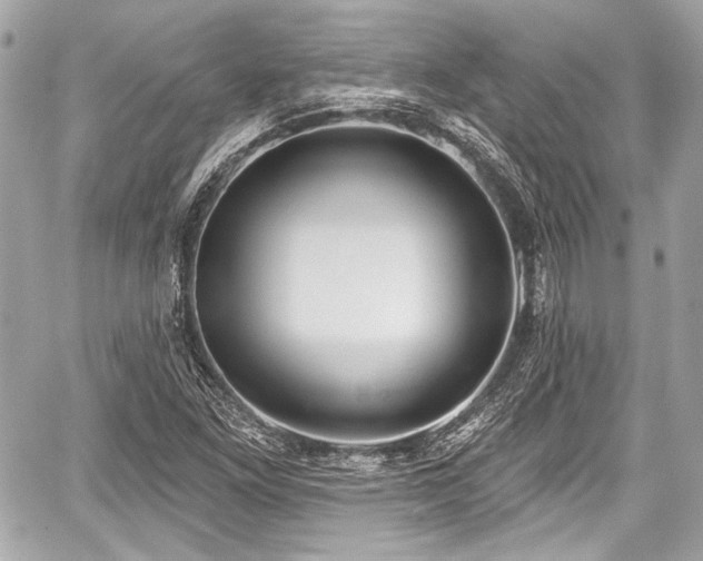 X0000059061261200510101039