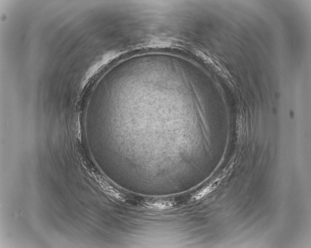 X0000059061262200510101039