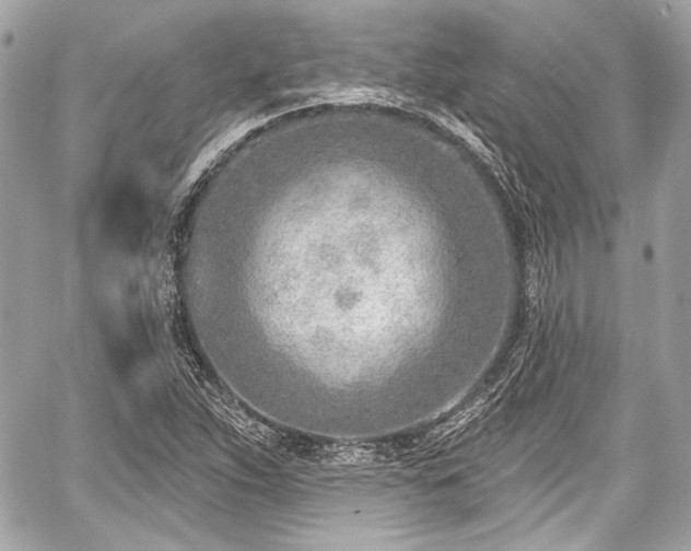 X0000059061263200510101039