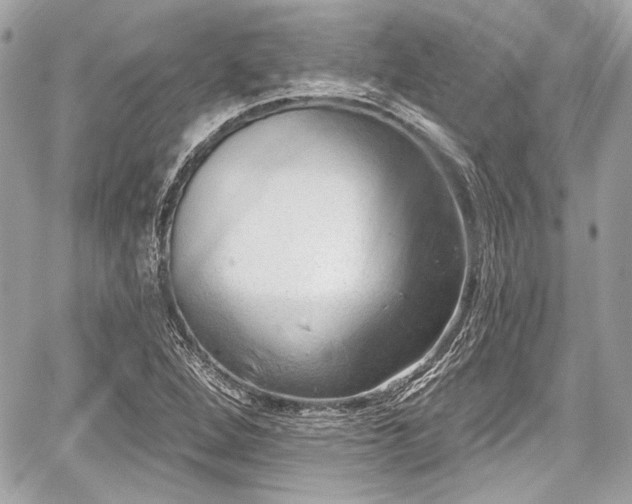 X0000059061264200510101039