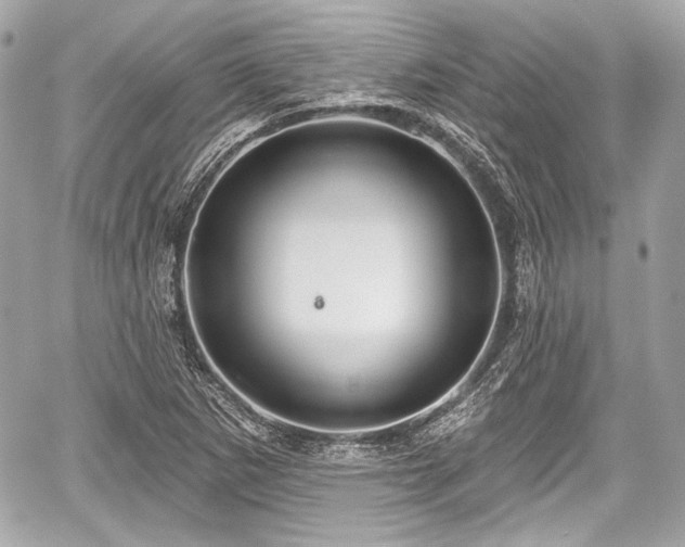 X0000059061265200510101039