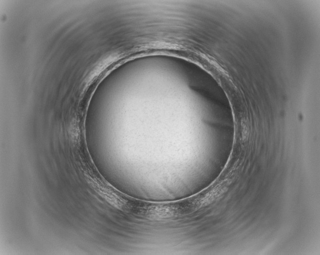 X0000059061266200510101039