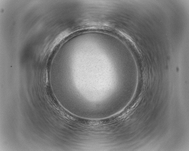 X0000059061267200510101039