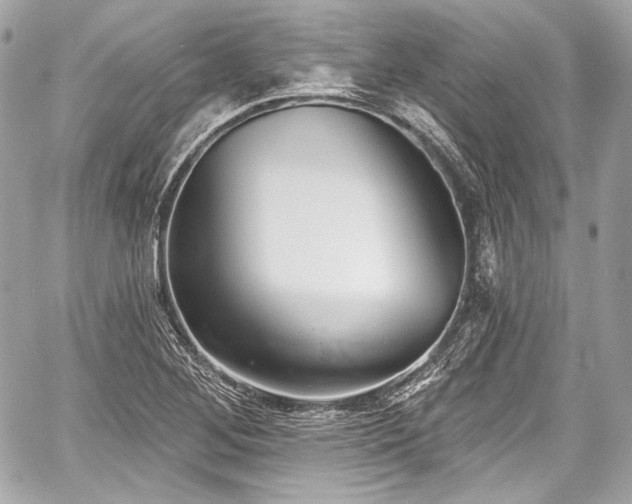 X0000059061268200510101039