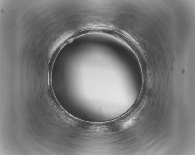 X0000059061269200510101039