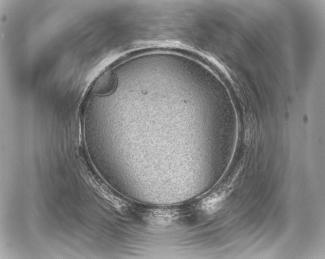 X0000059061271200510101039