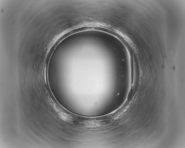 X0000059061272200510101039