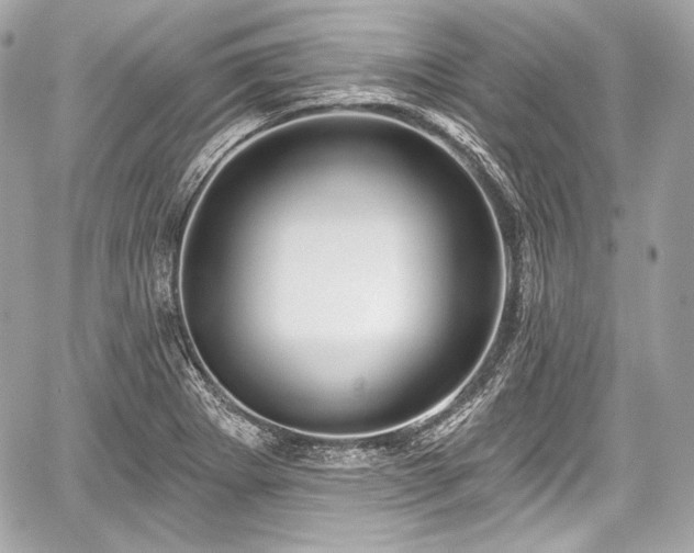 X0000059061273200510101039