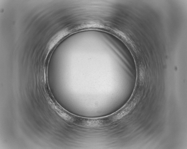 X0000059061274200510101039