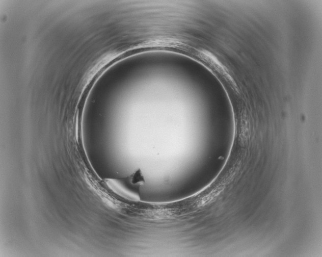 X0000059061276200510101039