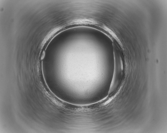 X0000059061277200510101039