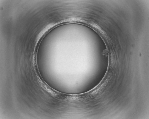 X0000059061278200510101039