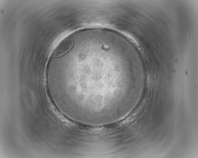 X0000059061279200510101039