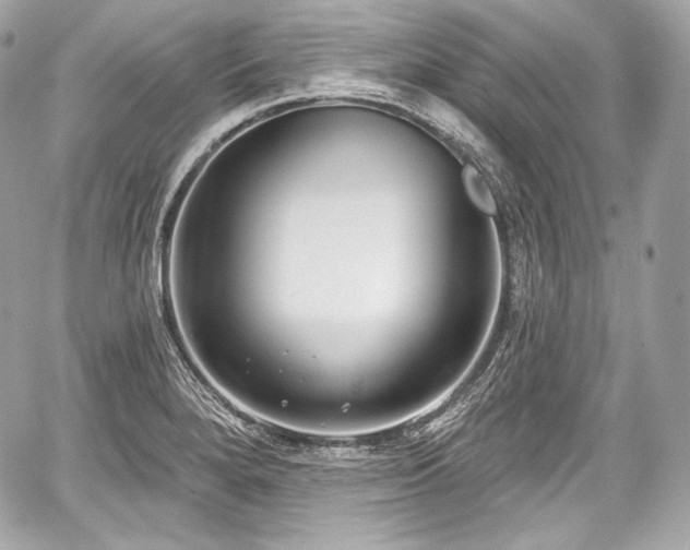 X0000059061280200510101039