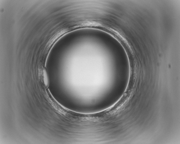 X0000059061281200510101039