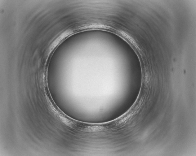 X0000059061282200510101039